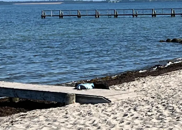 Lovely In Charming Town House Assens