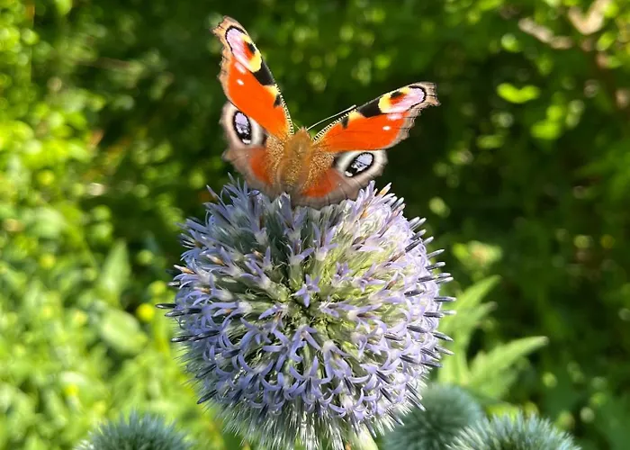 Lovely In Charming Town House Appartement *